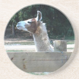 Profile of Llama Coaster
