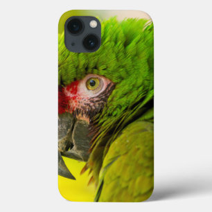 Profile of macaw at Santa Barbara Zoo iPhone 13 Case