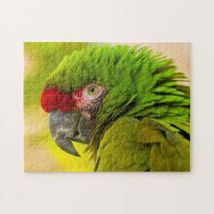 Profile of macaw at Santa Barbara Zoo Jigsaw Puzzle