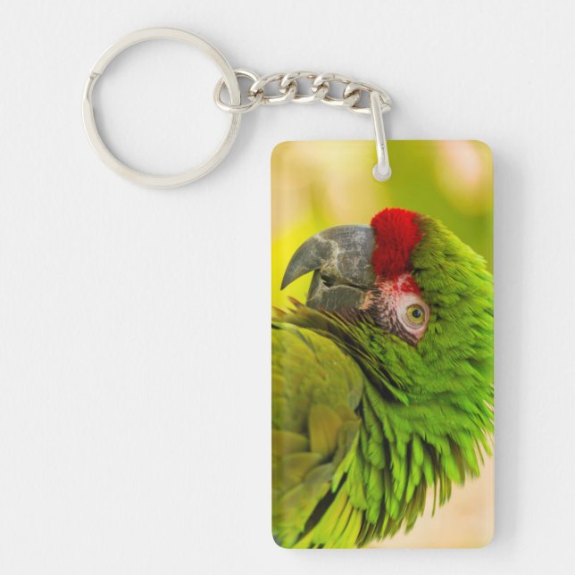 Profile of macaw at Santa Barbara Zoo Key Ring (Front)