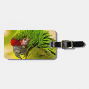 Profile of macaw at Santa Barbara Zoo Luggage Tag
