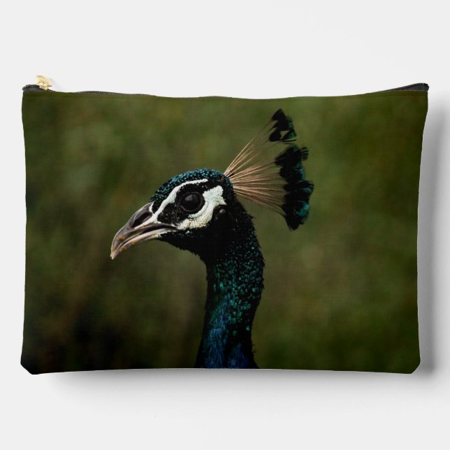 Profile of Peacock  Accessory Pouch (Front)