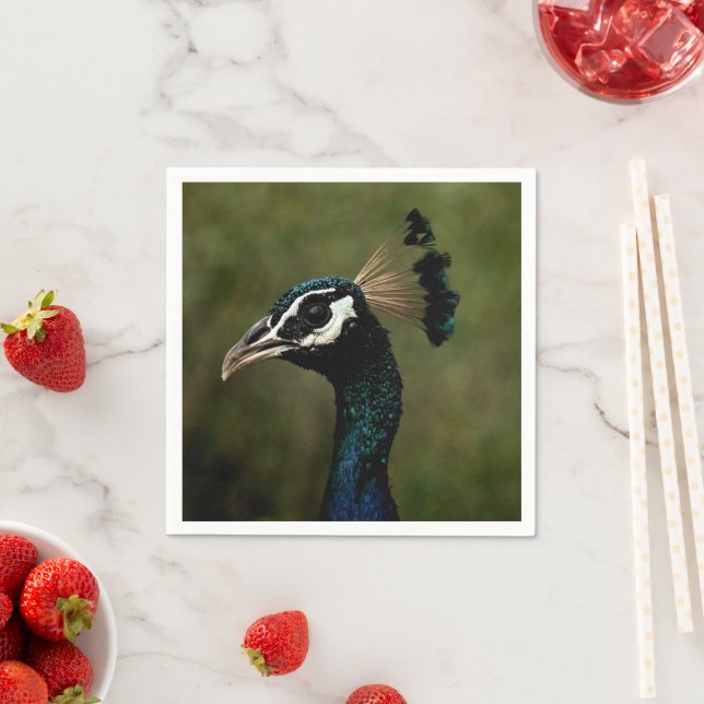 Profile of Peacock  Napkin (Insitu)