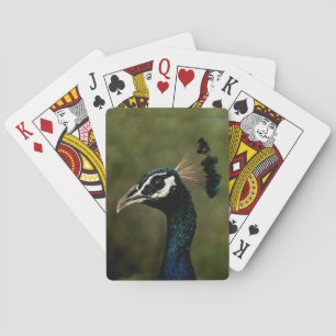 Profile of Peacock  Playing Cards