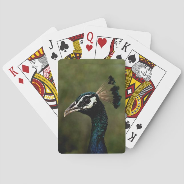 Profile of Peacock  Playing Cards (Back)