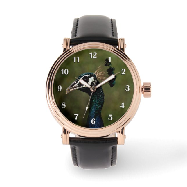 Profile of Peacock White Numbers Watch (Front)