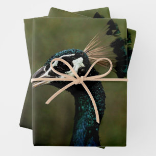 Profile of Peacock Wrapping Paper Sheet