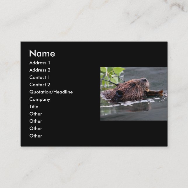 profile or business card, beaver card (Front)
