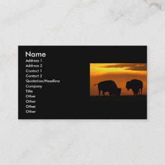profile or business card, bison card