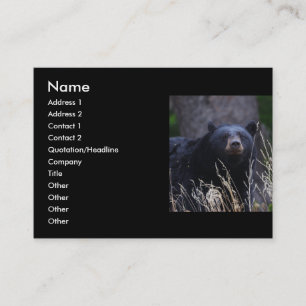 profile or business card, black bear business card
