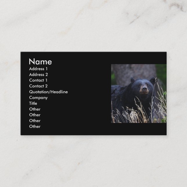profile or business card, black bear card (Front)