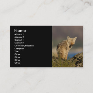 profile or business card, coyote business card
