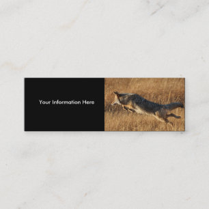 profile or business card, coyote jumping mini business card