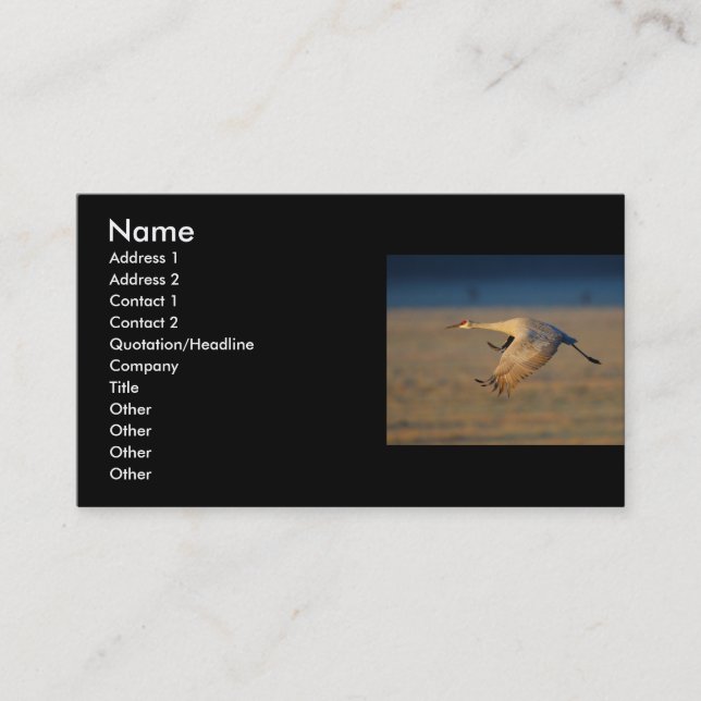 profile or business card, crane business card (Front)