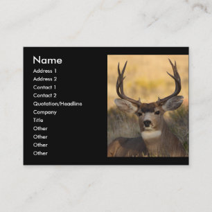 profile or business card, deer business card
