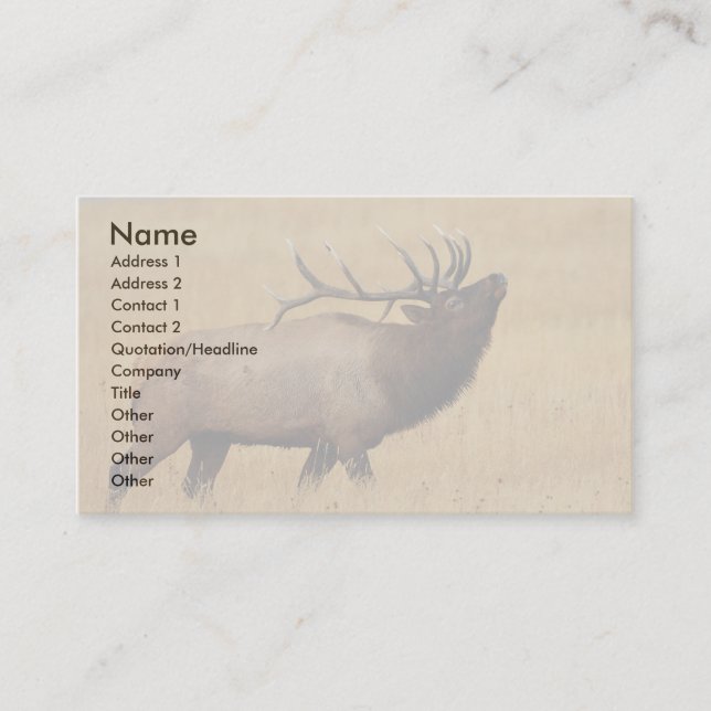 profile or business card, elk business card (Front)
