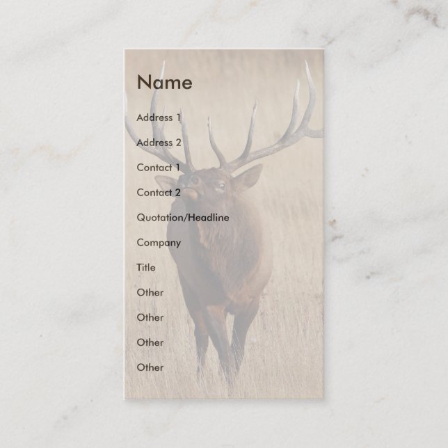 profile or business card, elk business card (Front)