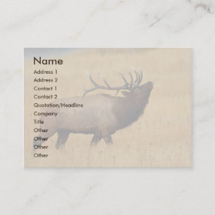 profile or business card, elk card