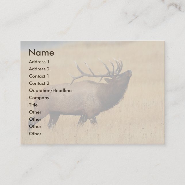 profile or business card, elk card (Front)