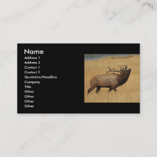 profile or business card, elk card