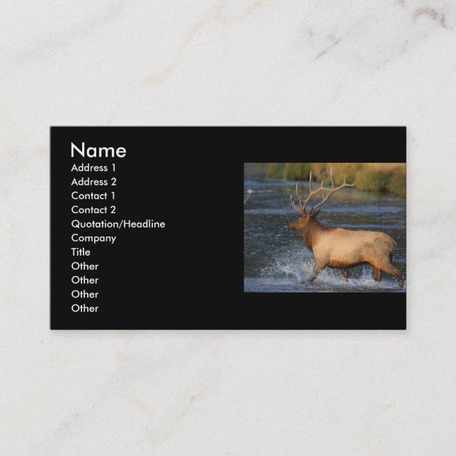 profile or business card, elk splash card (Front)