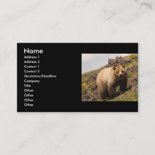 profile or business card, grizzly bear card