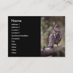 profile or business card, grouse card