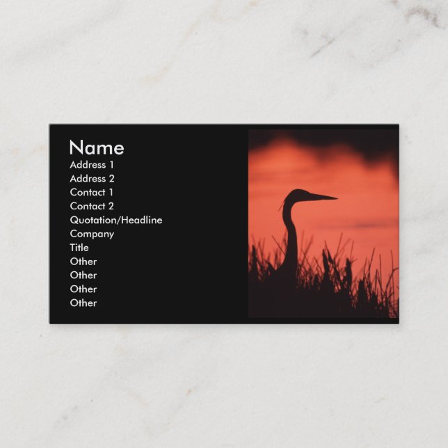 profile or business card, heron card (Front)