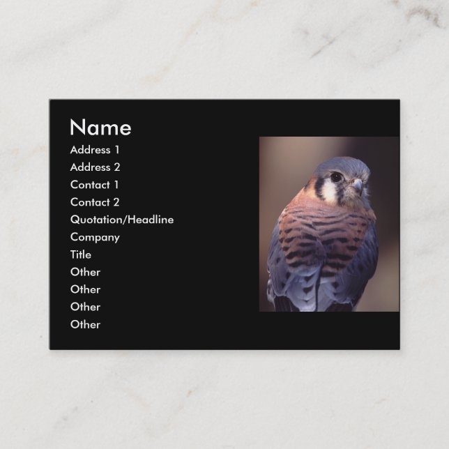 profile or business card, kestrel card (Front)
