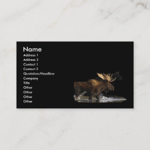 profile or business card, moose splash business card