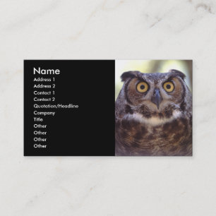 profile or business card, owl business card