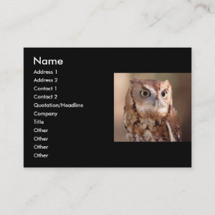 profile or business card, owl business card