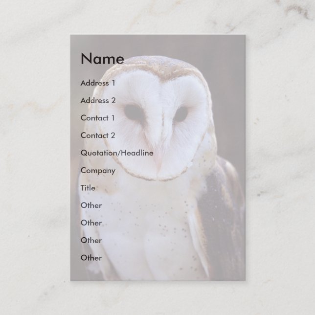 profile or business card, owl card (Front)