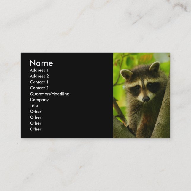 profile or business card, racoon card (Front)