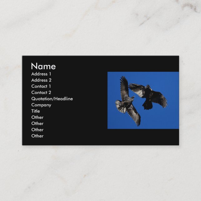 profile or business card, ravens card (Front)