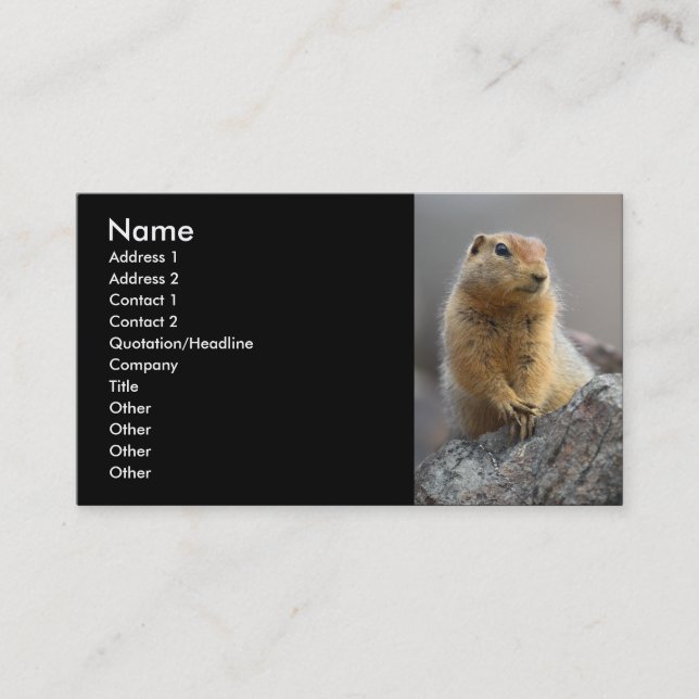 profile or business card, squirrel business card (Front)