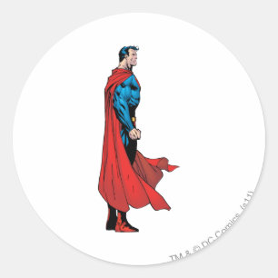 Profile View Classic Round Sticker