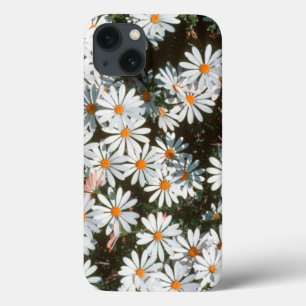 Profusion Of White Daises (Asteraceae) iPhone 13 Case