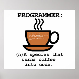 Programmer Definition Funny Poster