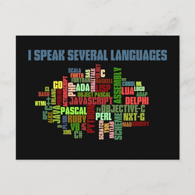 Programmers Have Multiple Programming Skills Postcard (Front)