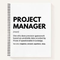 Project Manager Funny Definition