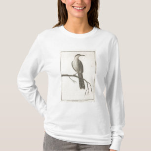 Promerops or Bee Eater of California T-Shirt