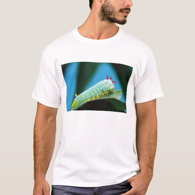 Prometheus Moth Caterpillar, Callosamia T-Shirt (Front)