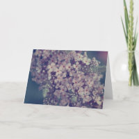 Promise 2 | Lilac Flower Photography Blank