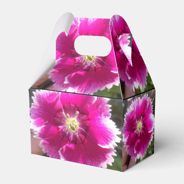 Promise Favour Box (Back Side)