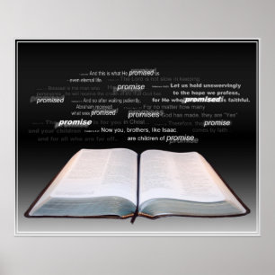 promise poster