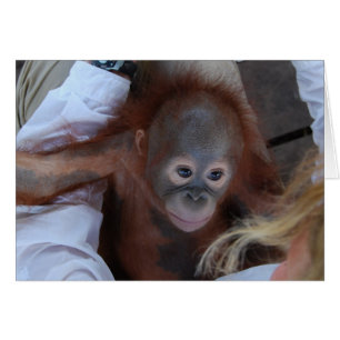 Promise to Wildlife Orphans