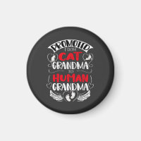 Promoted from Cat Grandma to Human Grandma