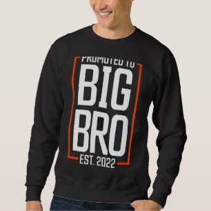 Promoted to Big Brother 2022 Big Bro Soon to be Bi Sweatshirt