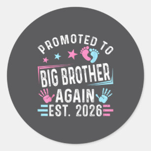 Promoted To Big Brother Again Est. 2026 Vintage Bi Classic Round Sticker